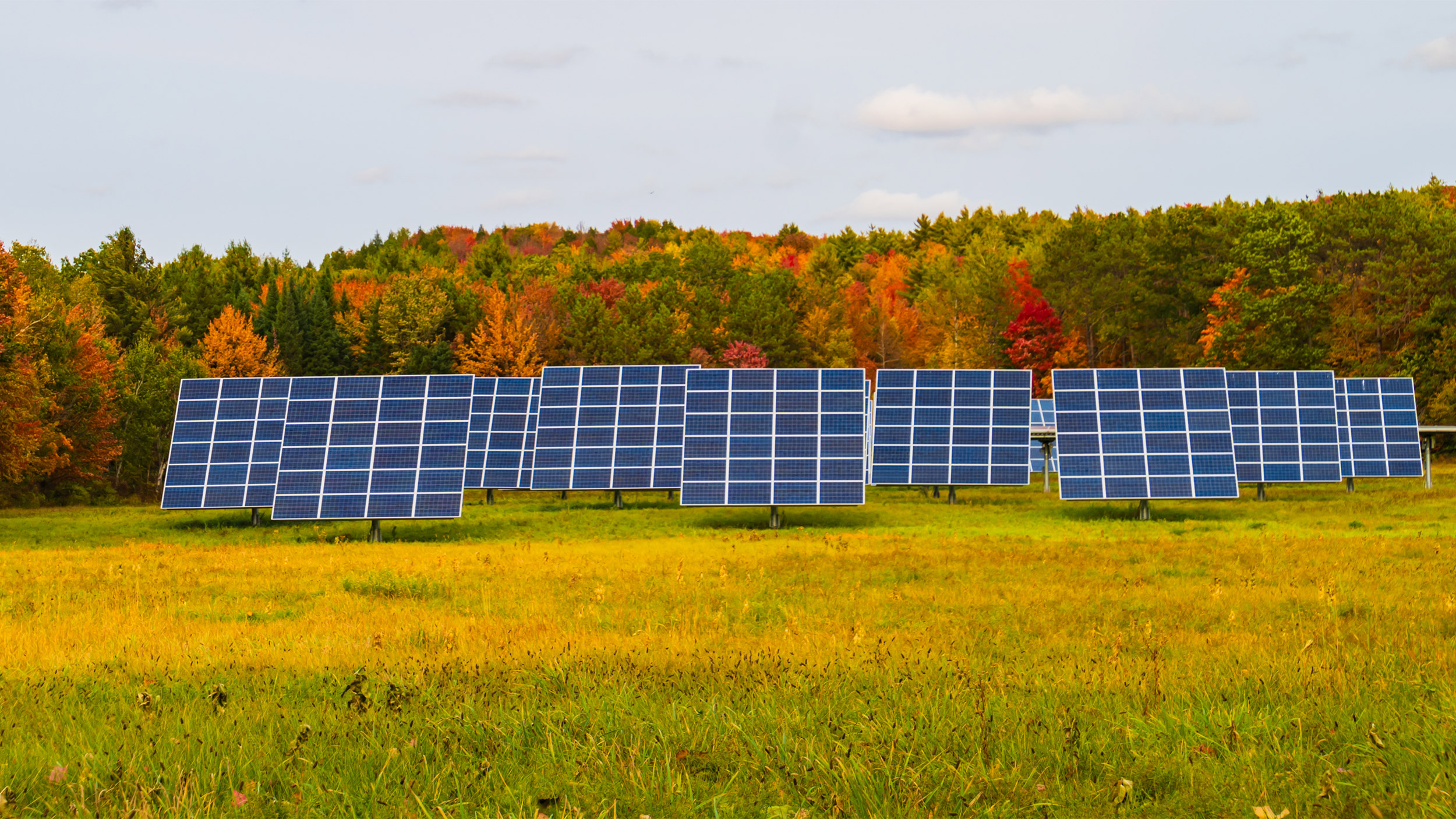 forest and solar panels