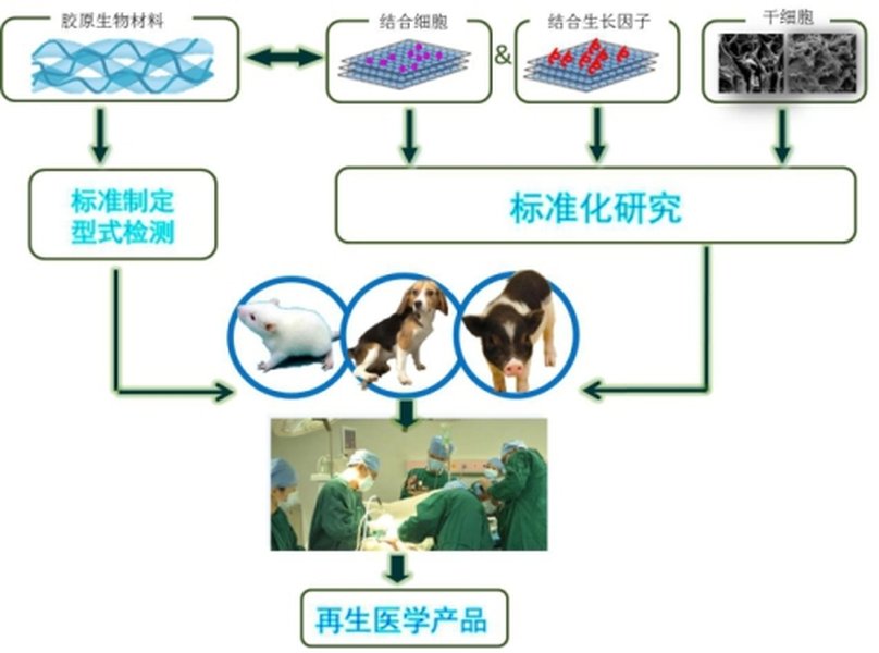 cmu-tissue-engineering-lab-research-o35gpdsf