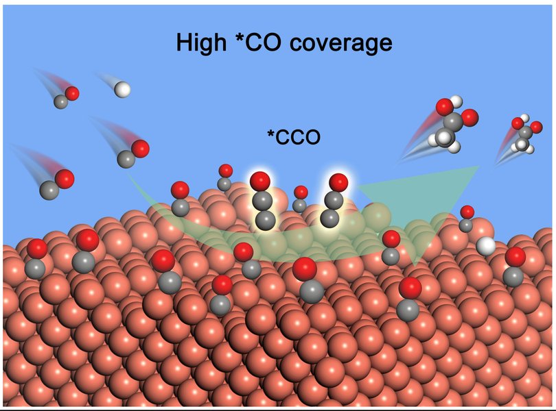 co-electroreduction-acetate-catalysts-63qied2w