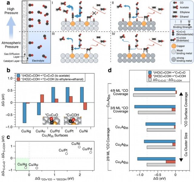 co-electroreduction-acetate-catalysts-lhn8itcp