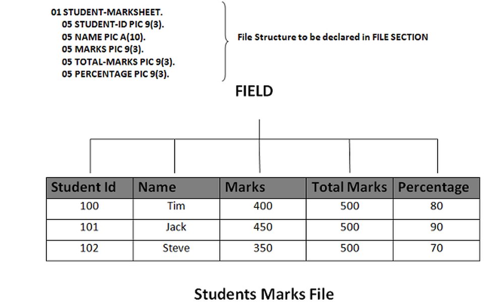 Struttura di un record in COBOL