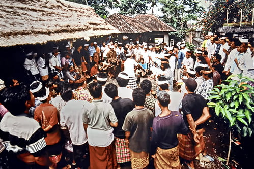 crowded cockfighting arena traditional game