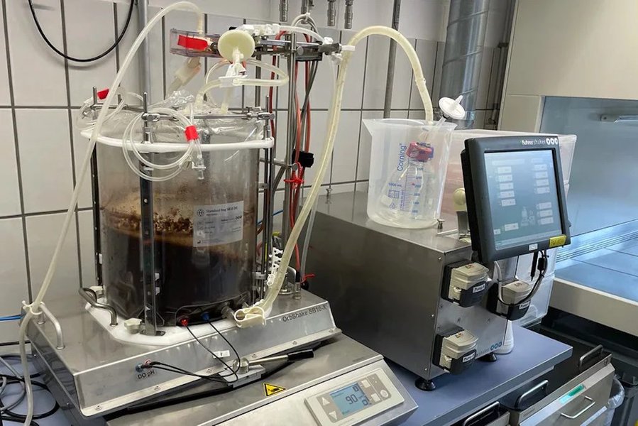 Bioreactor for cell-based cocoa production