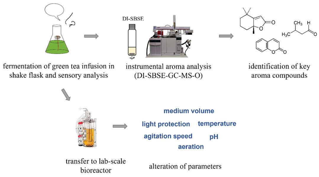 cocoa-fermentation-bioreactors-ktposybp