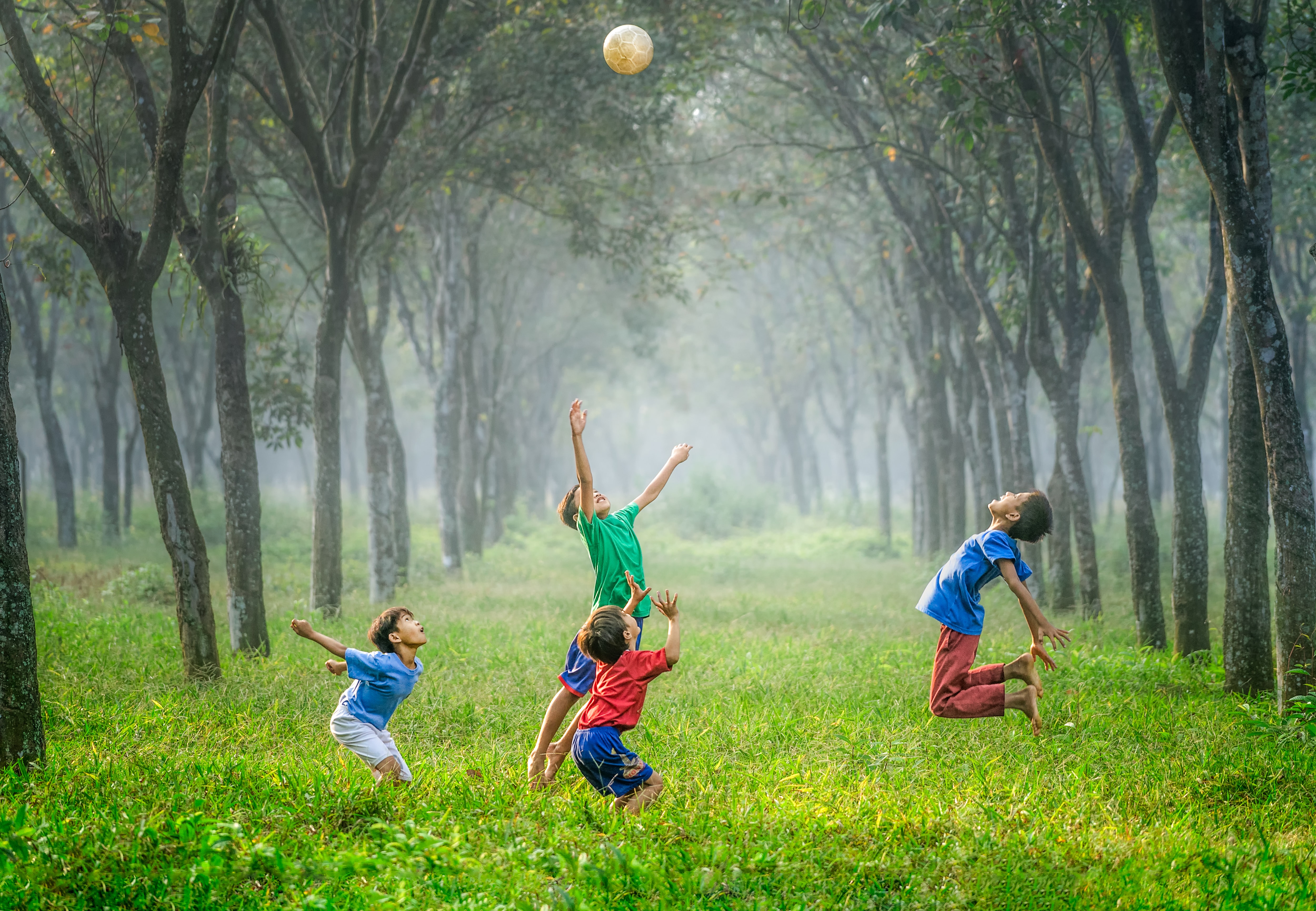children playing outdoors in nature