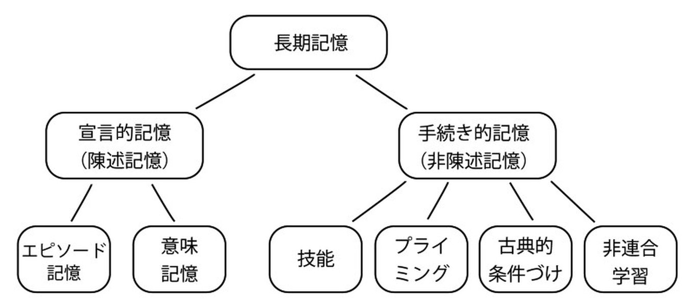 cognitive-science-associative-memory-models-9is1ro86