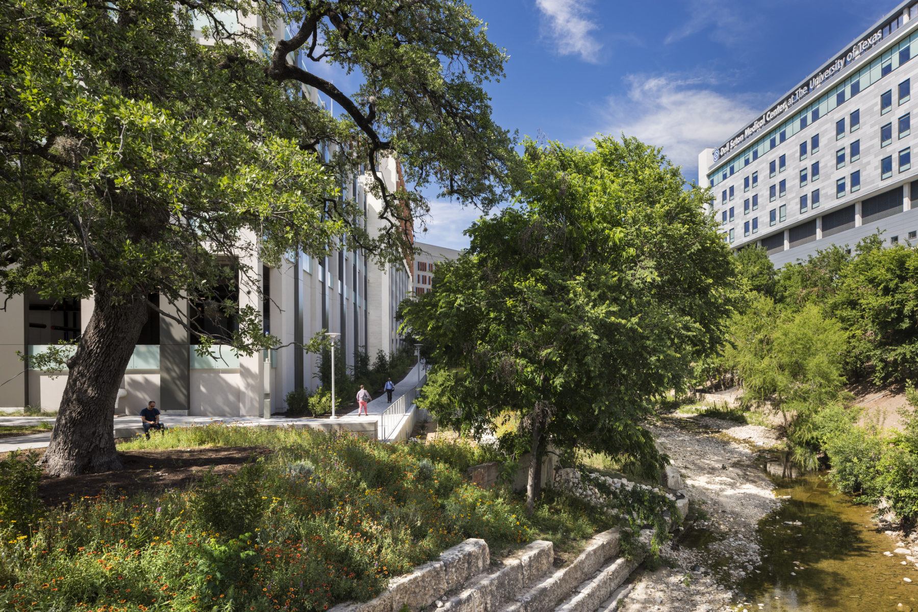 campus scenery and college campus building