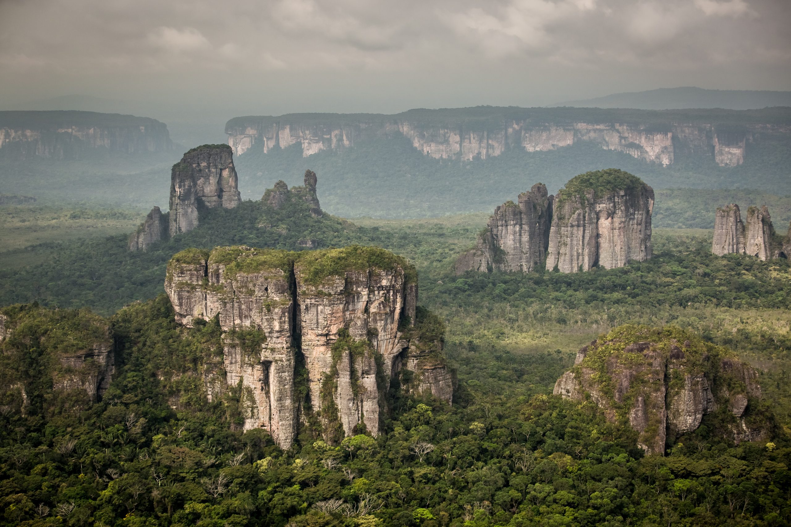 tropical forest landscape colombia