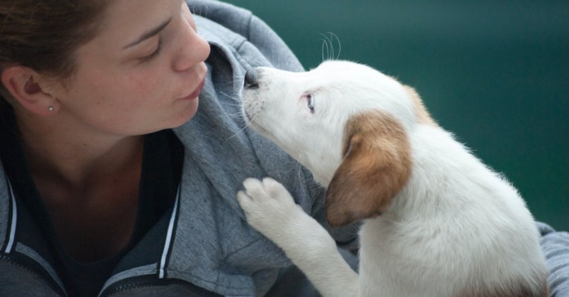 comfort-pet-turtle-loss-0tei46pl