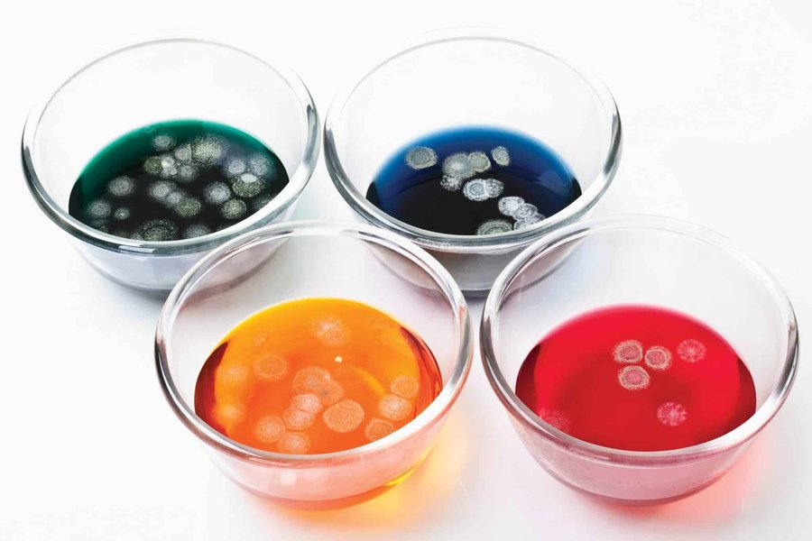 common-biocides-water-based-paints-mvbc0a54