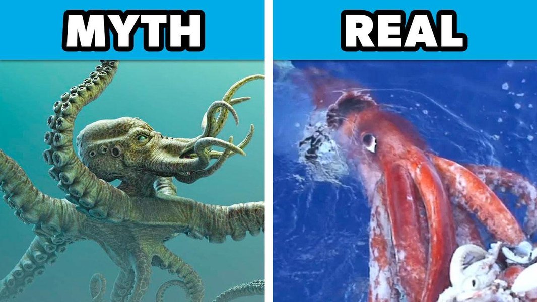 common-misconceptions-debunked-280ideme