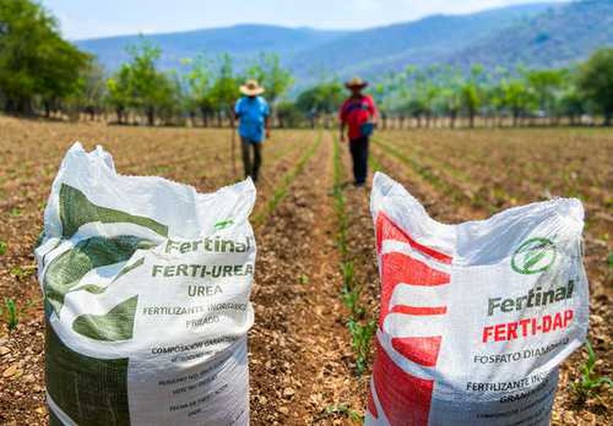 Campo agrícola con maquinaria