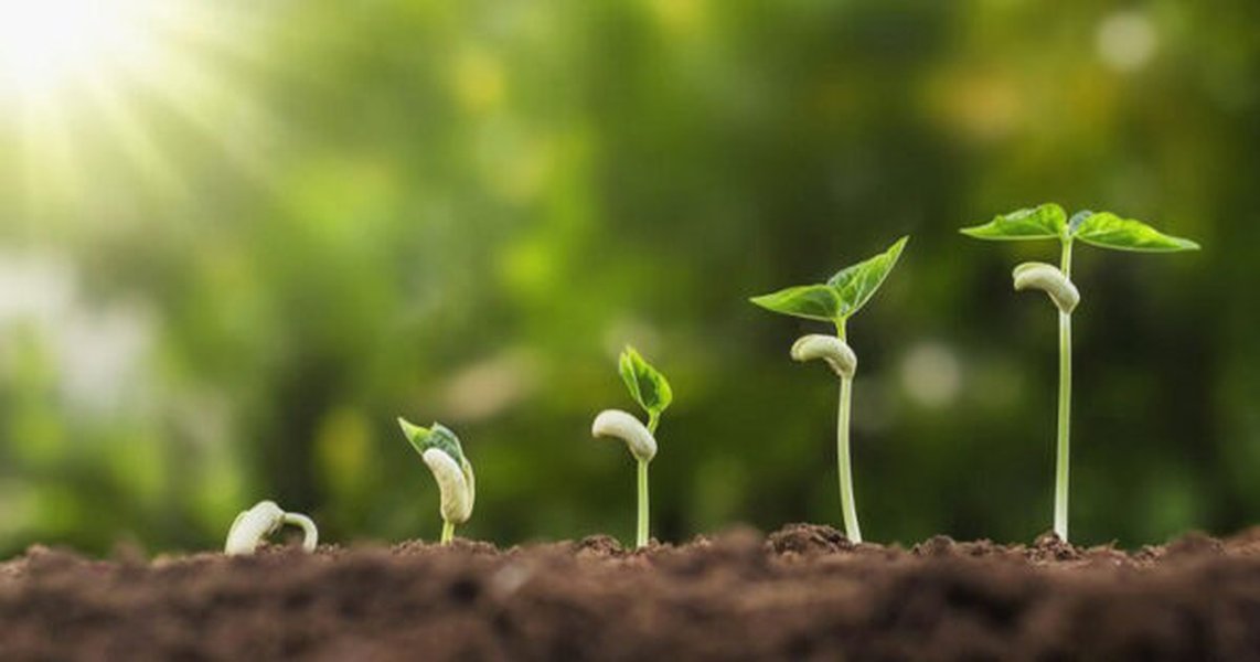 Fertilisation organique