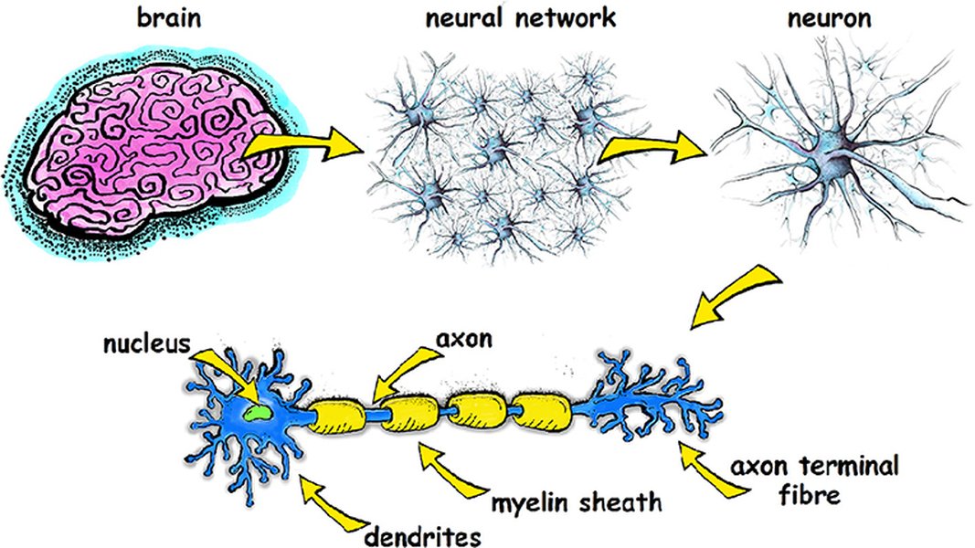 Neural Network Structure