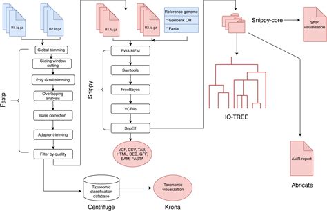 The Bacteria Genome Pipeline (BAGEP): an automated, scalable workflow ...