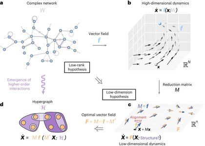 complex system interactions