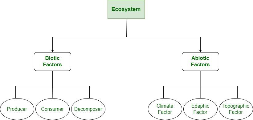 ecosystem components