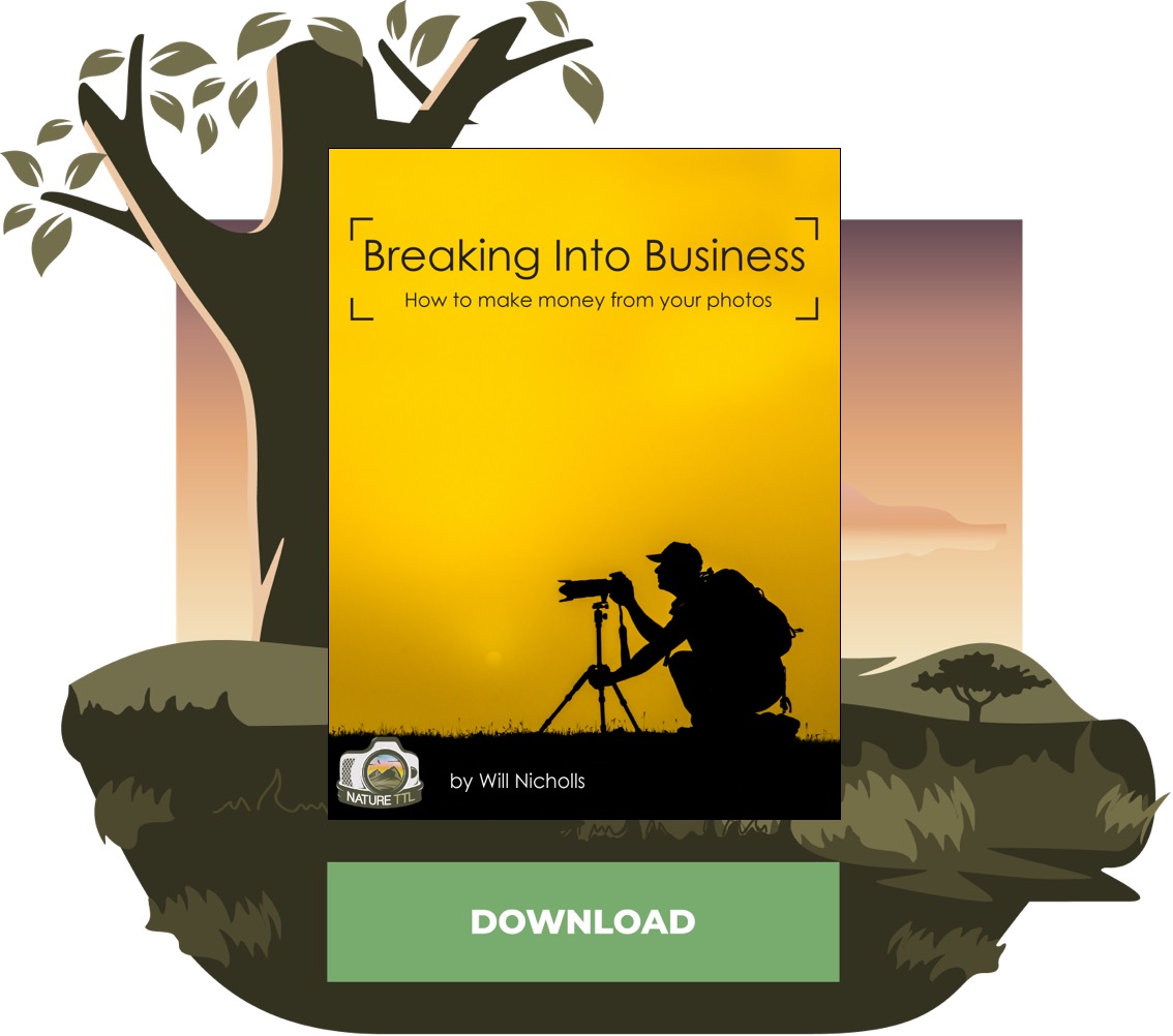 landscape editing tools and posters
