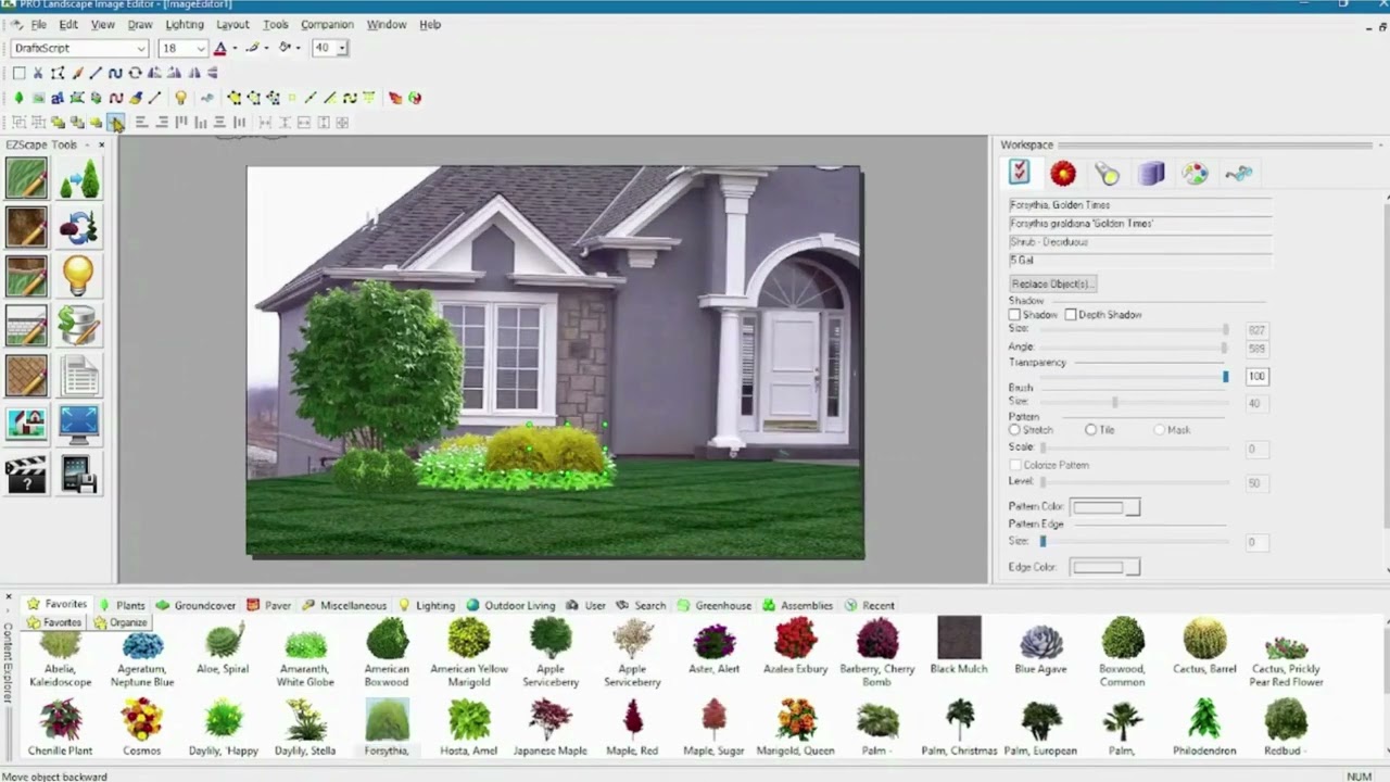 landscape and photo editing tools