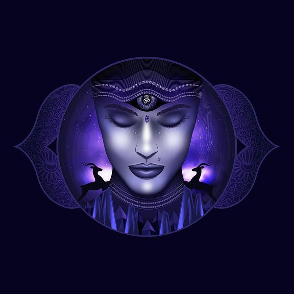 comprehensive-guide-to-developing-intuition-6vca2hls