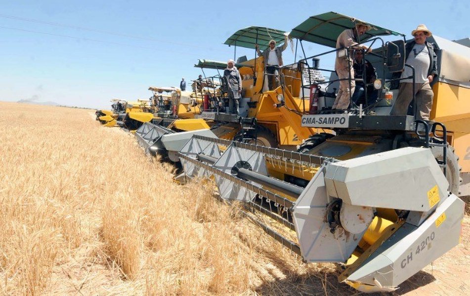 Gestion de la production céréalière