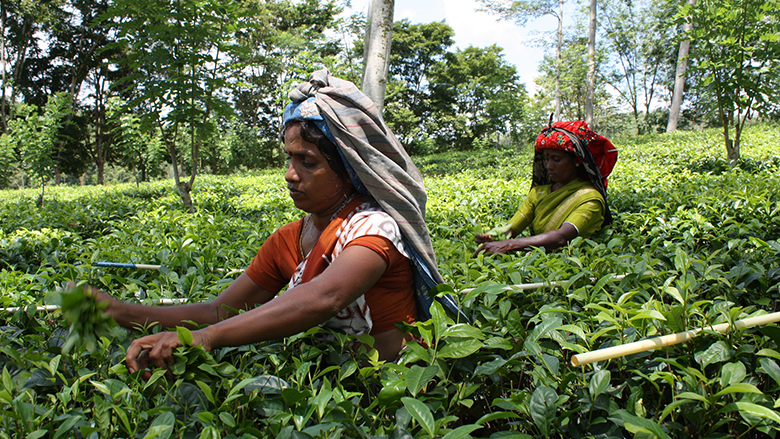 rural agricultural community