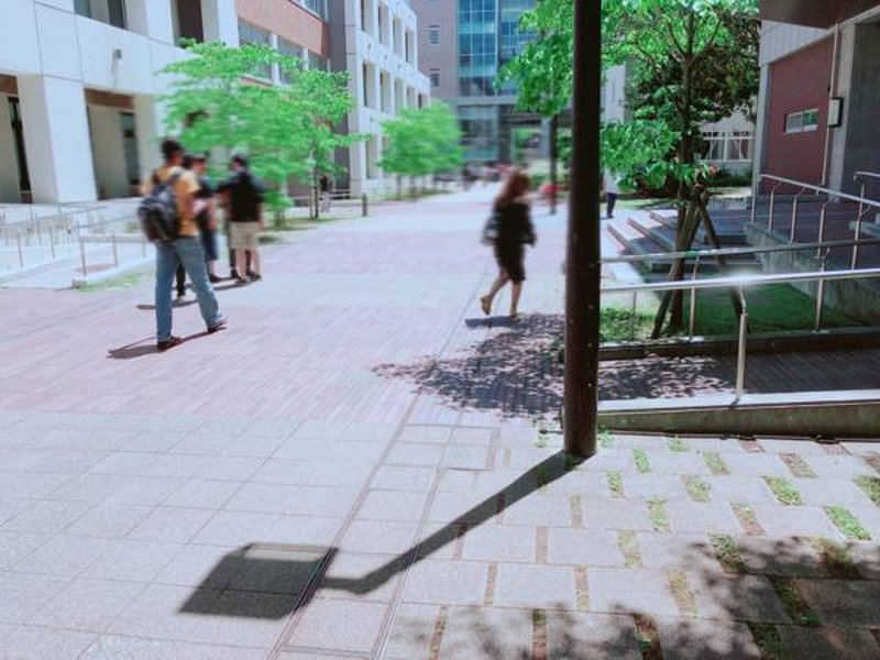 大阪大学のキャンパスの一部