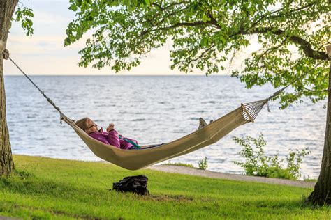 people relaxing nature