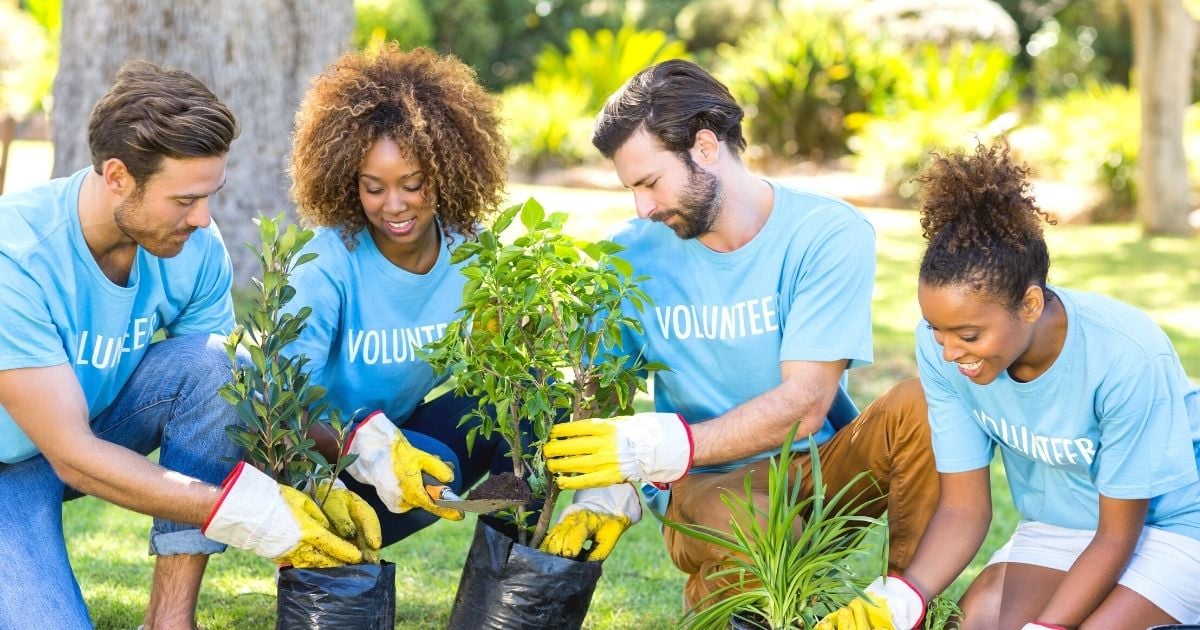volunteering activities community service