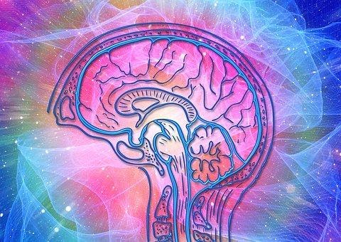 brain abstract art