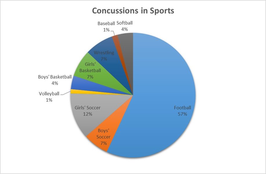 soccer concussion diagram