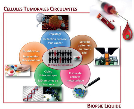 cellules tumorales circulantes
