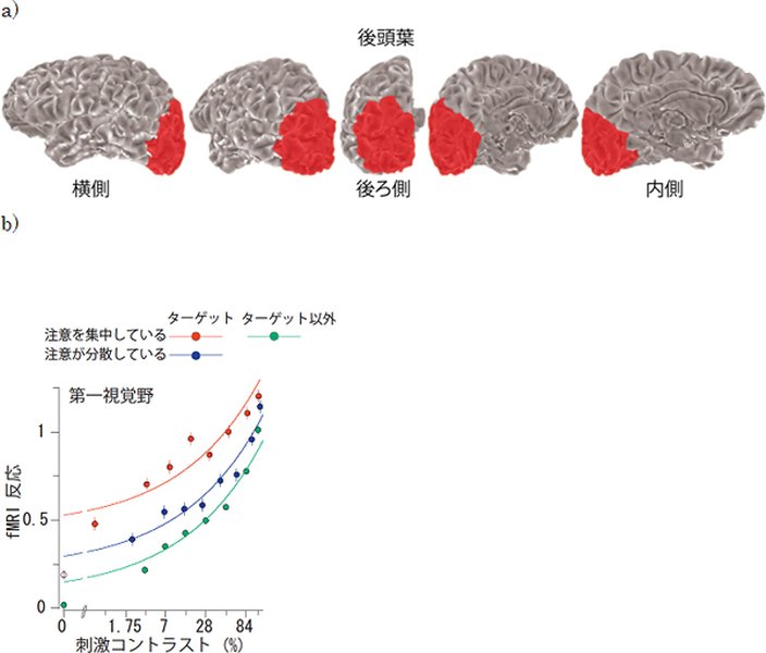 脳が効率的に注意を向けるイメージ