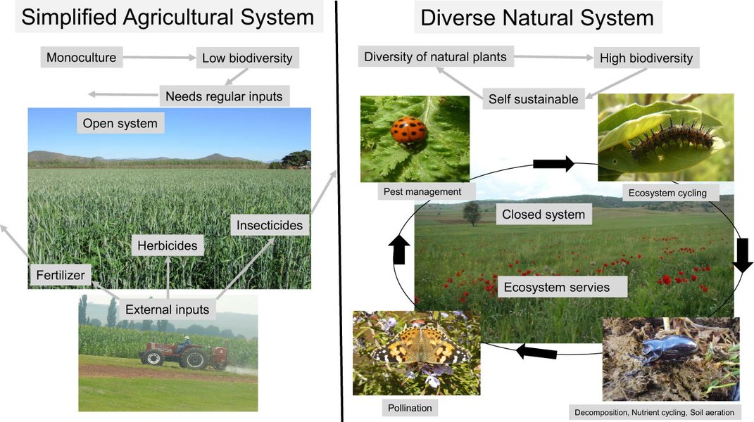 Ithy - Unveiling Nature's Guardians: Mastering Conservation Biological ...