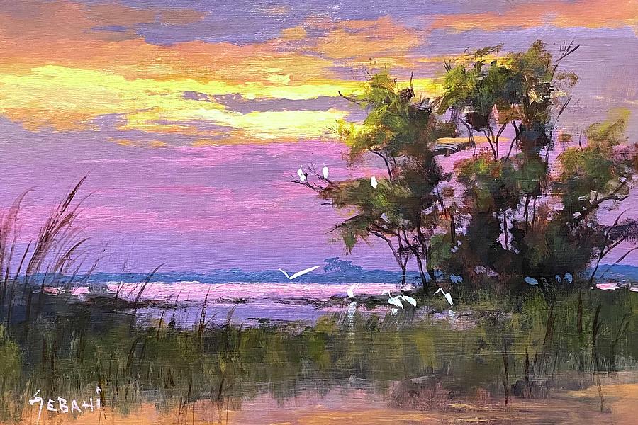 wildlife landscape sunset