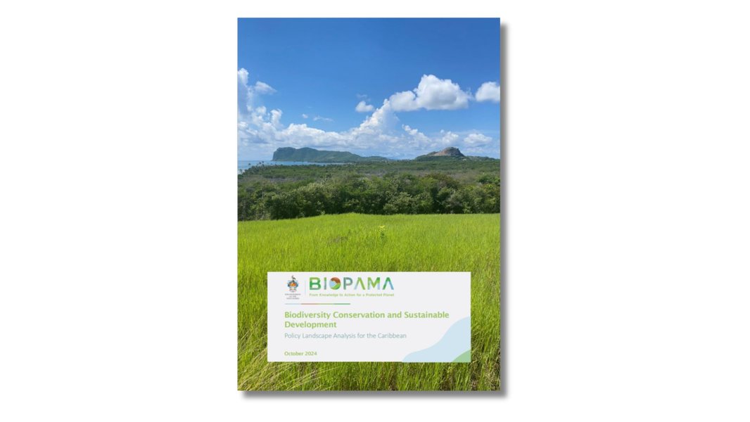 Biodiversity Conservation and Sustainable Development Policy Landscape Analysis for the Caribbean