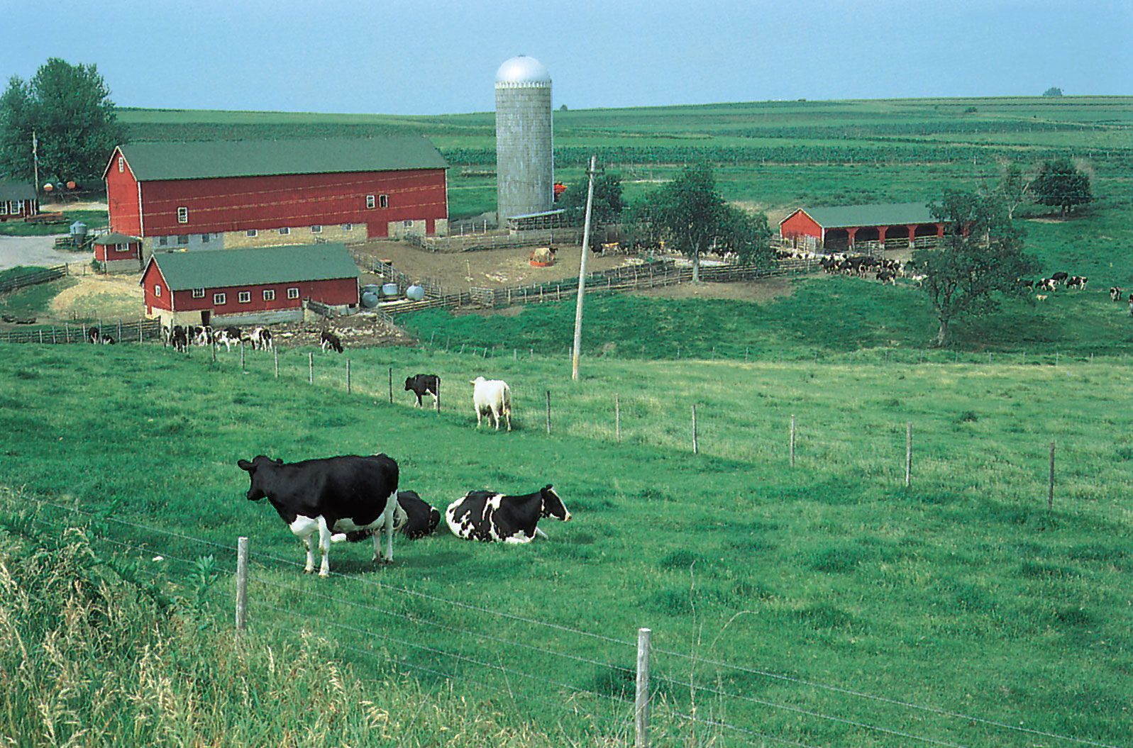 continental climate scenery