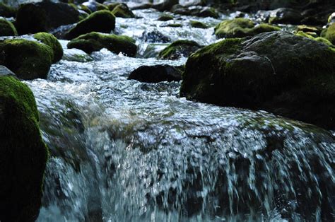 river flowing through nature