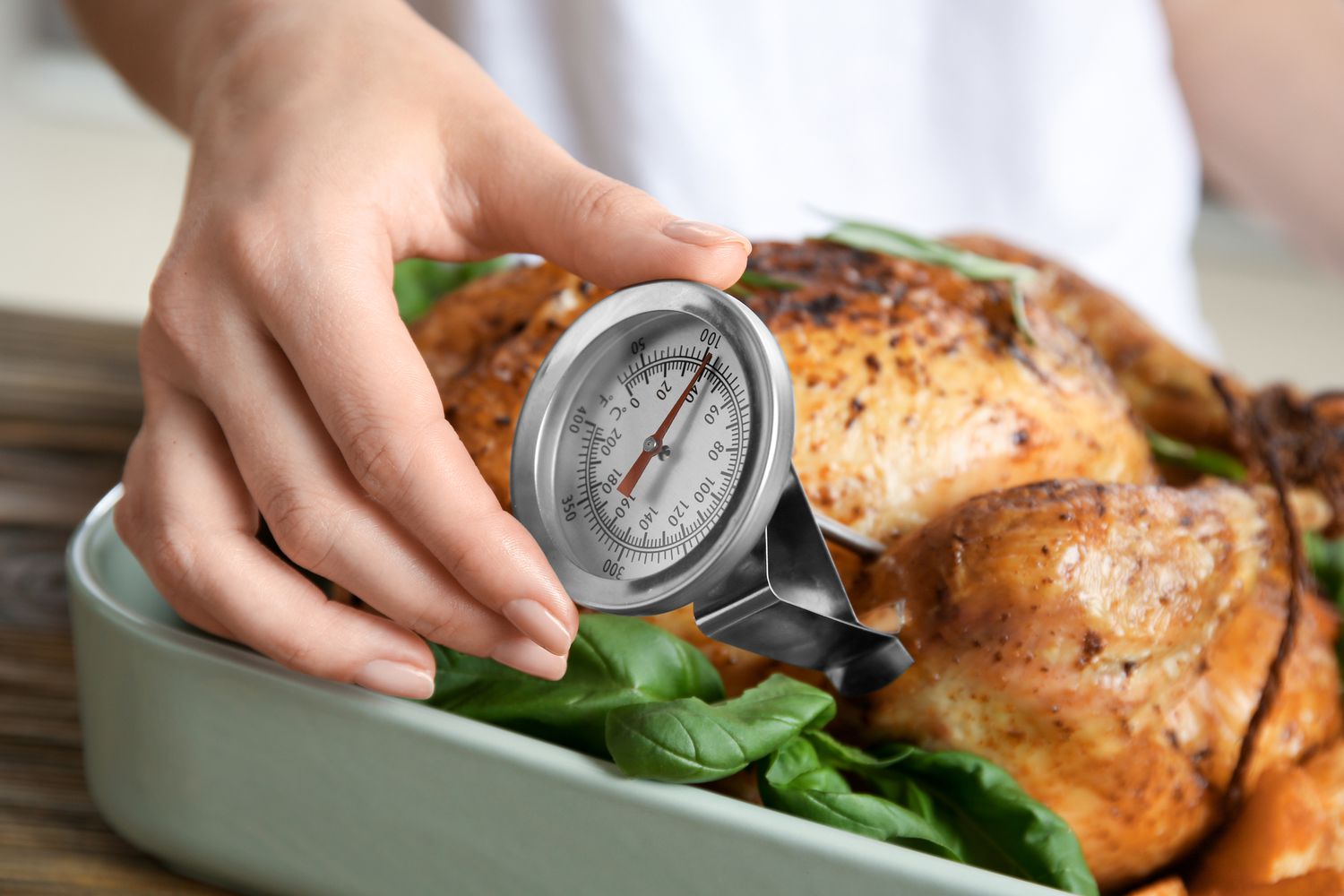 temperature control equipment and culinary tools