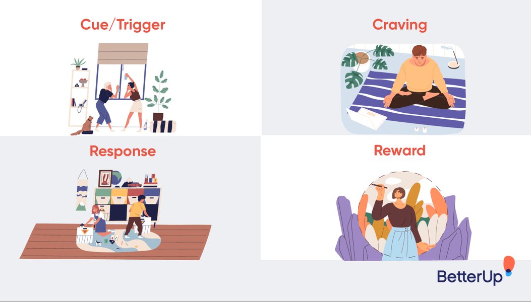 Diagram illustrating the four stages of the habit loop: Cue, Craving, Response, Reward.