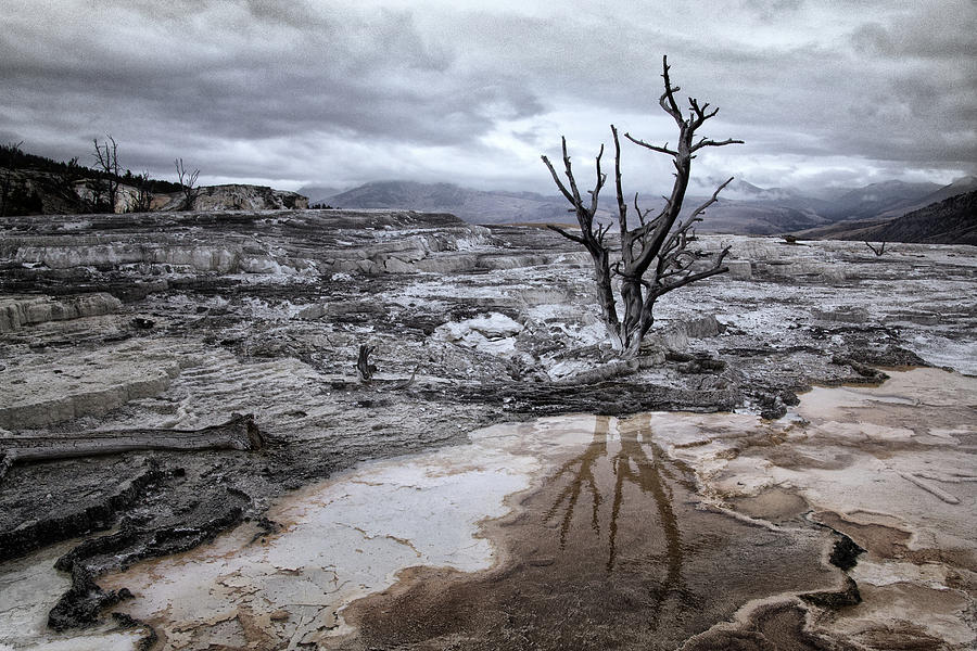 desolate landscape