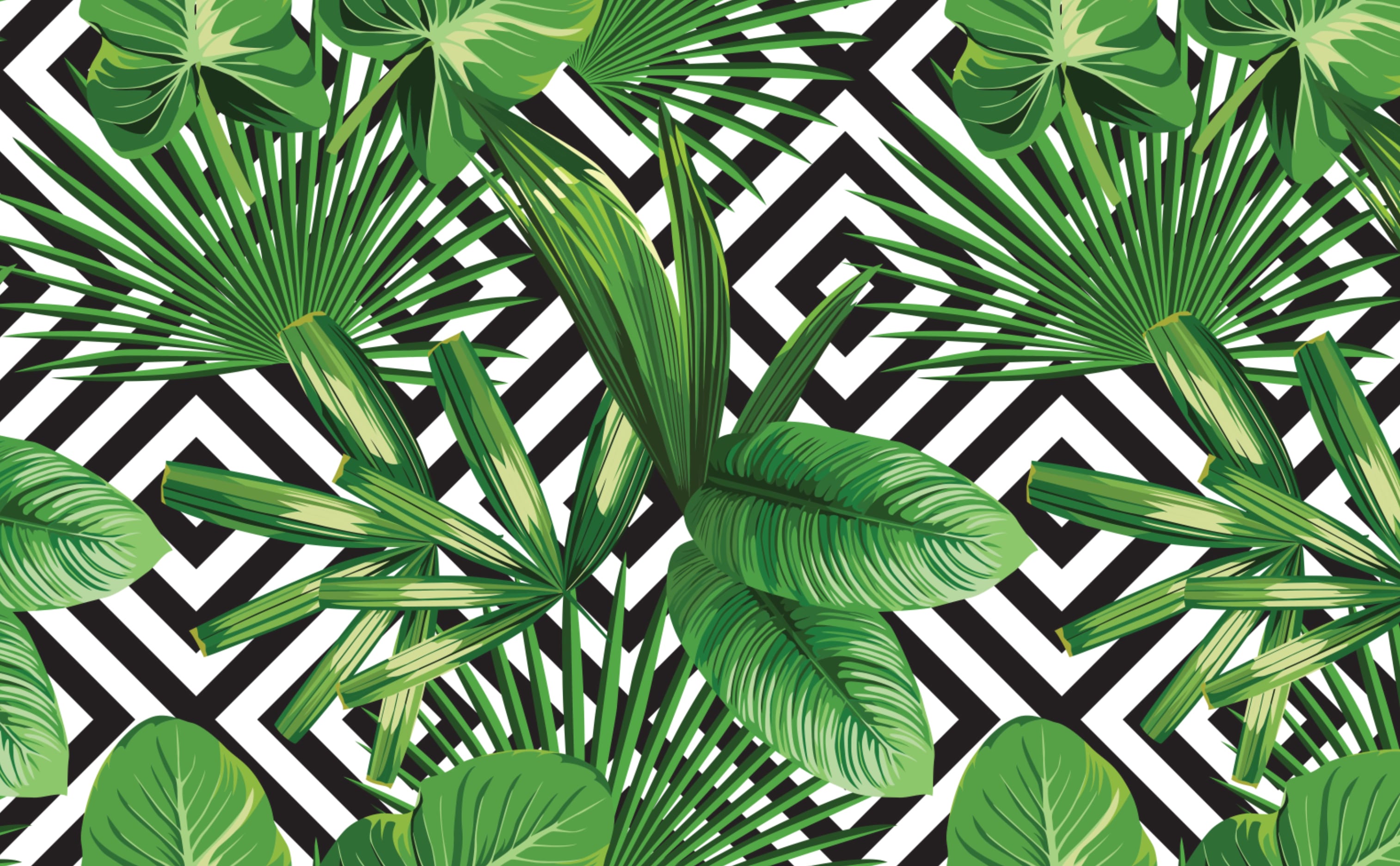 tropical palm leaves scenery