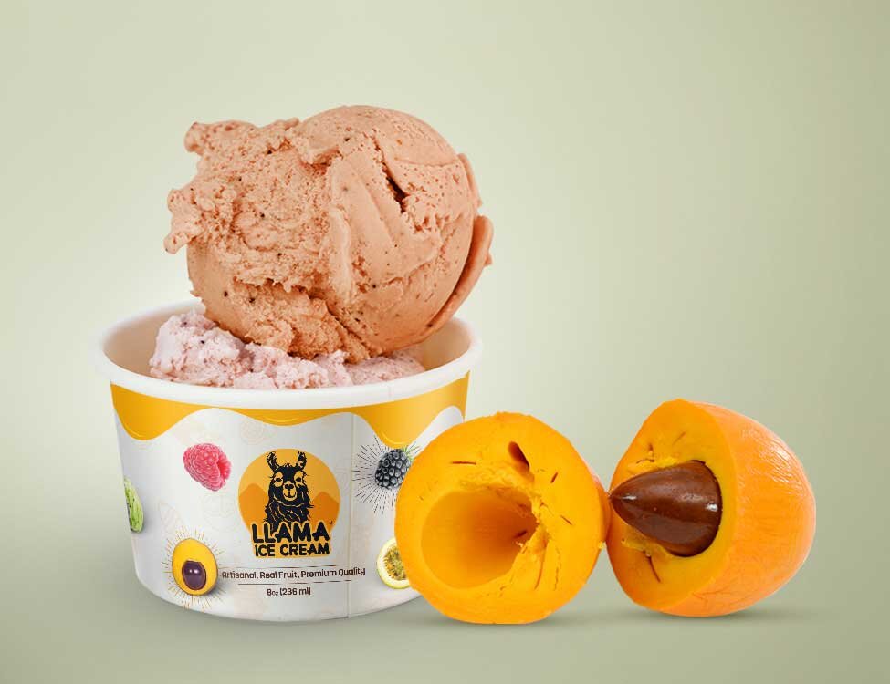 tropical fruits and chocolate artisan