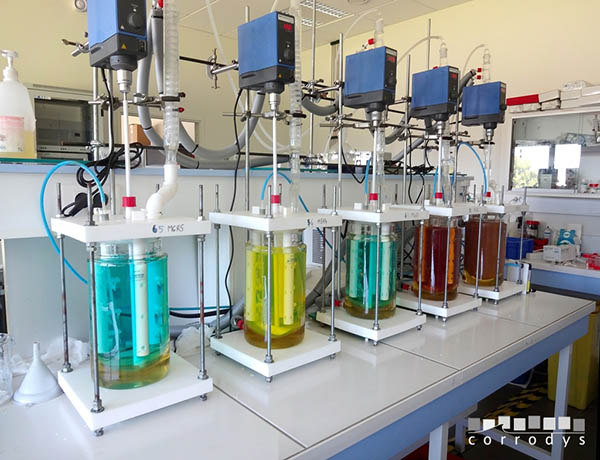 laboratory setup for chemical corrosion study