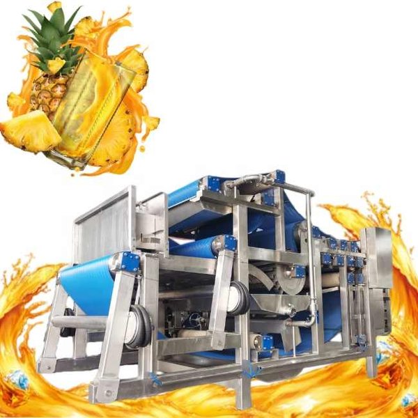 Ligne de production de jus d'ananas