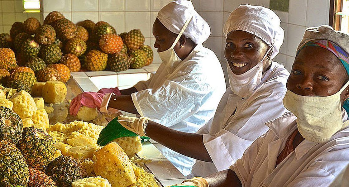 cost-benefit-pineapple-transformation-drc-tlmiicwq