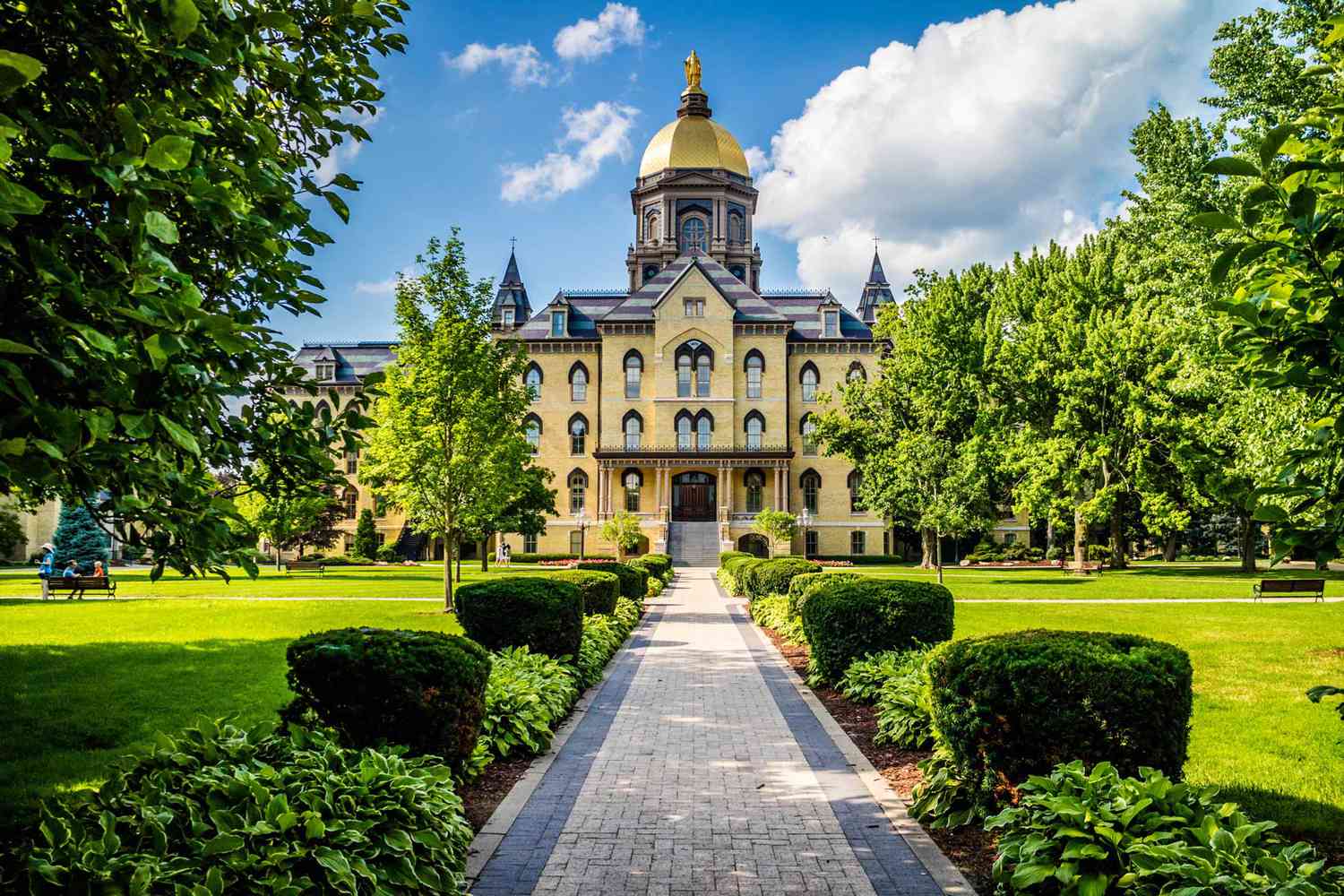 scenic university campus and study materials