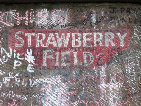 strawberry field closeup