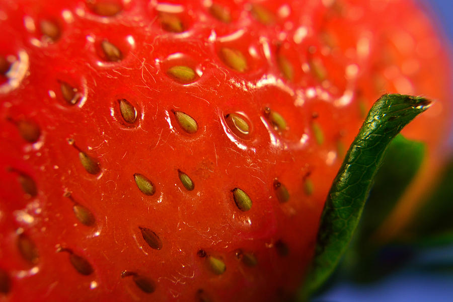 strawberry close up