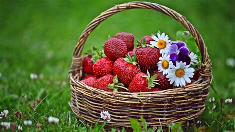 strawberries in a basket